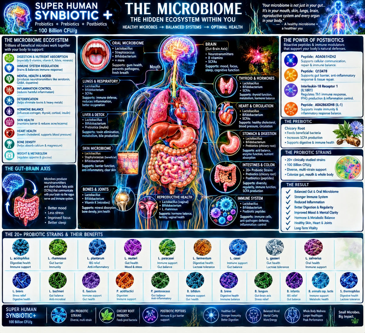 Super Human Synbiotic[+]