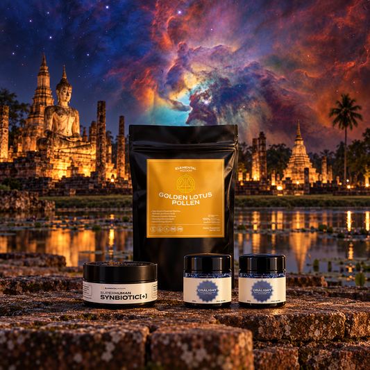 Family Friendly in a sacred-site landscape with an artistic celestial sky