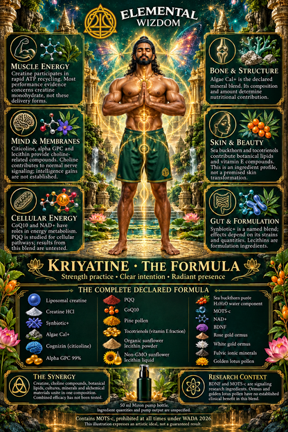 KRIYATINE full-body yoga master illustration with complete combined formula including golden lotus pollen and fulvic ionic minerals.
