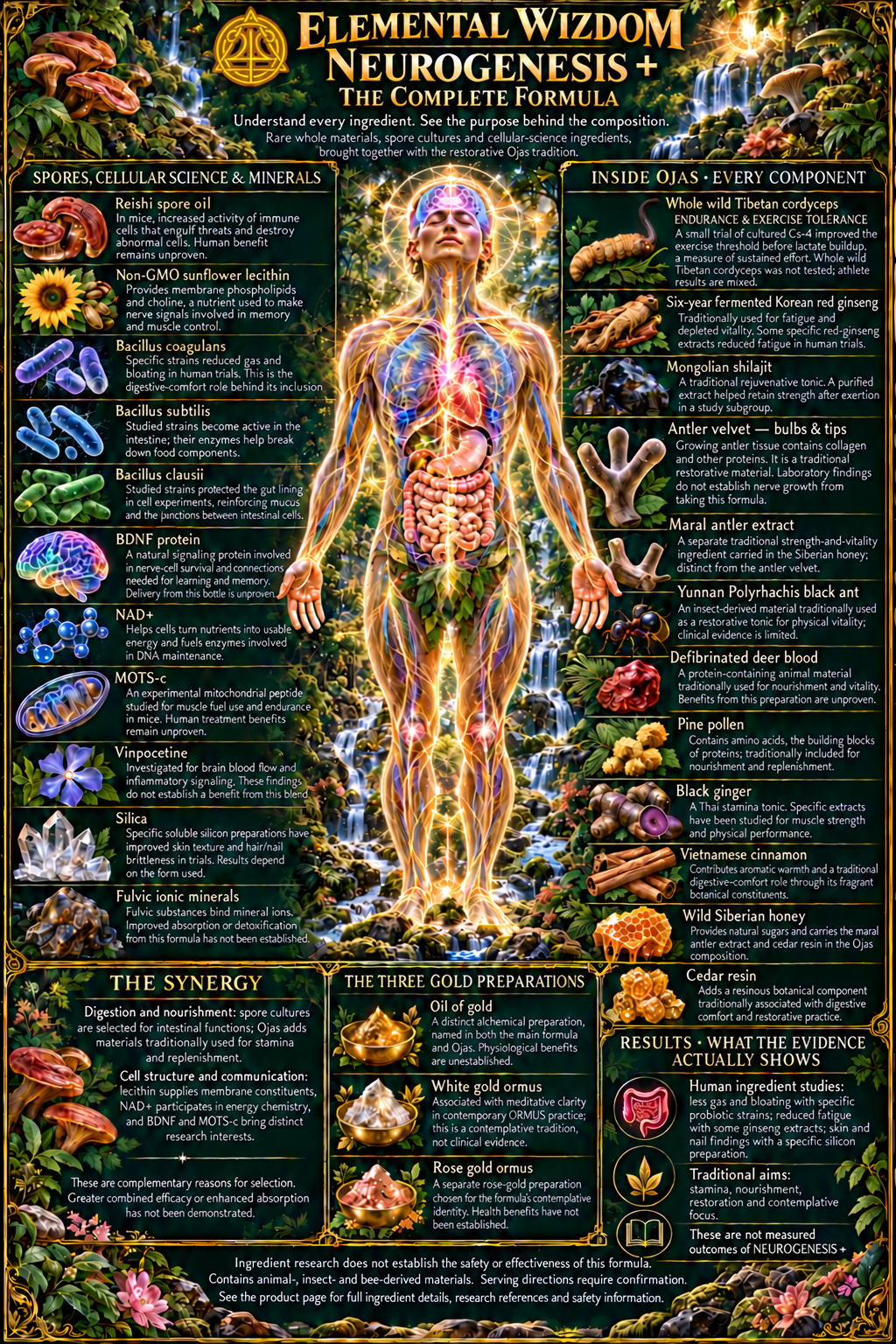 NEUROGENESIS+ complete formula and Ojas ingredient diagram, including antler velvet bulbs and tips, with Elemental Wizdom logo and readable research notes.