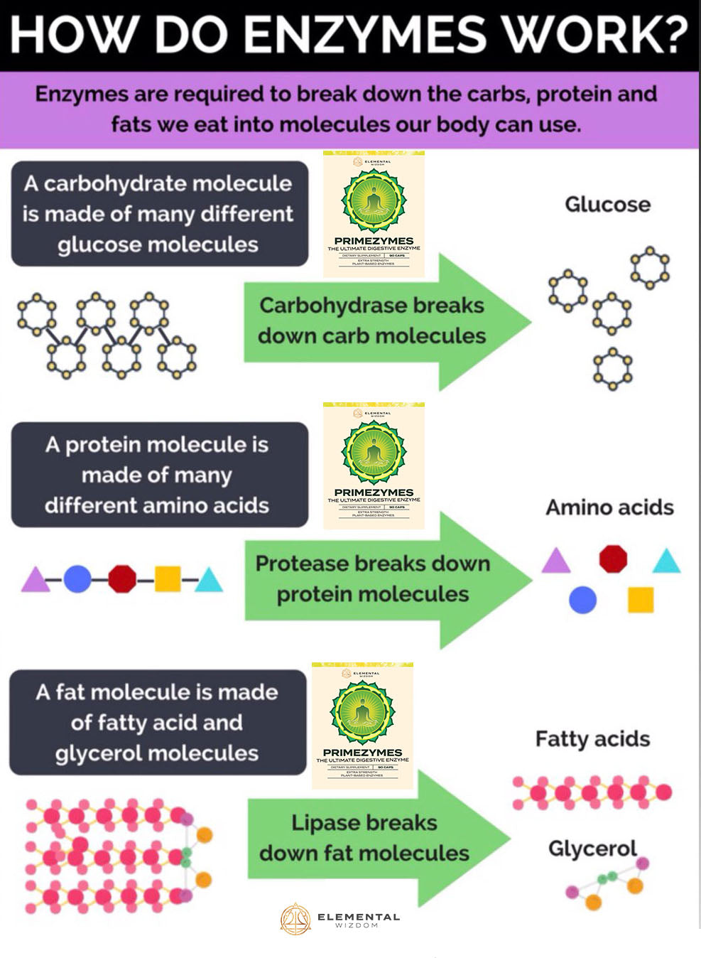 Primezymes